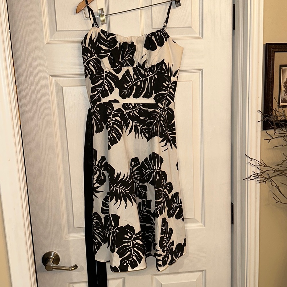 Alyn Paige Dress